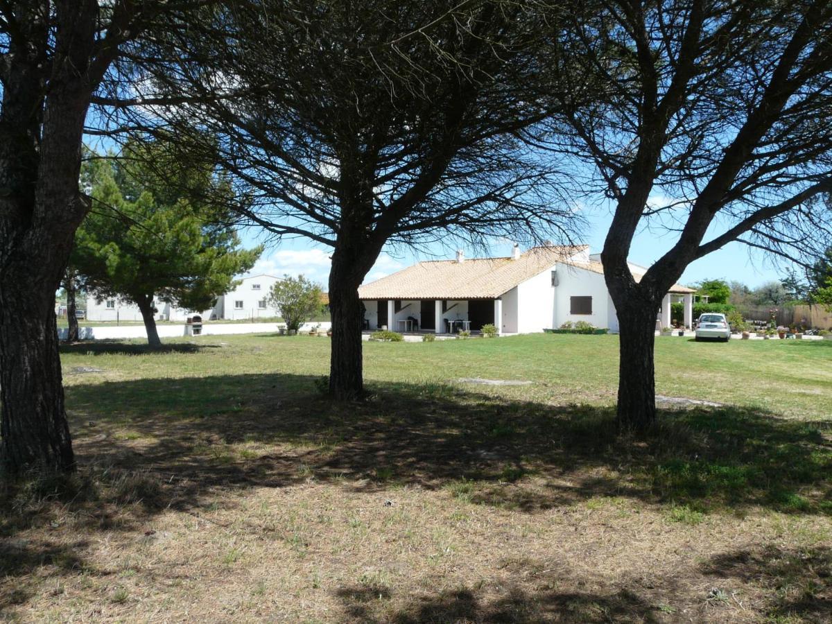 Mas du Clos de la Barque Les Les Saintes-Maries-de-la-Mer Extérieur photo